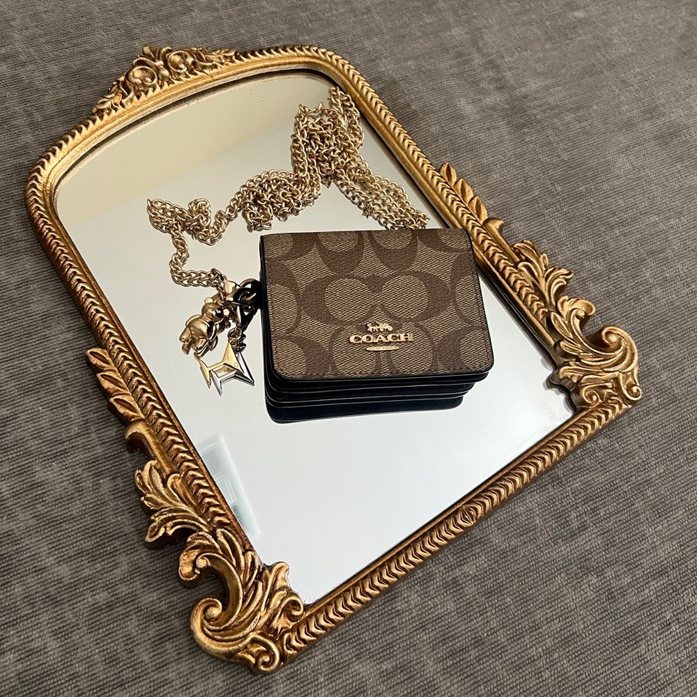 Coach wallet on a chain purse